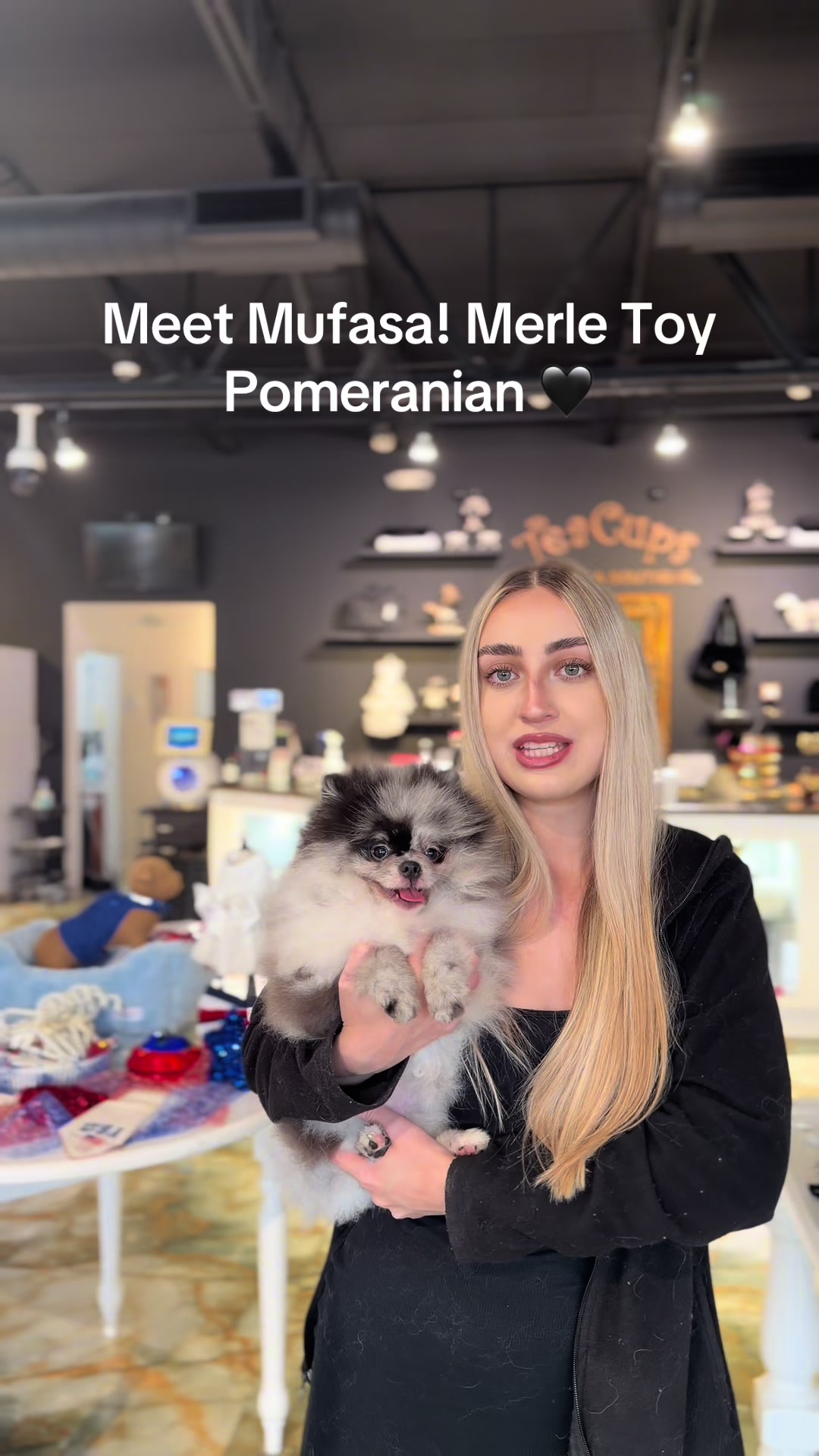 @TeaCups, Puppies & Boutique &reg;️