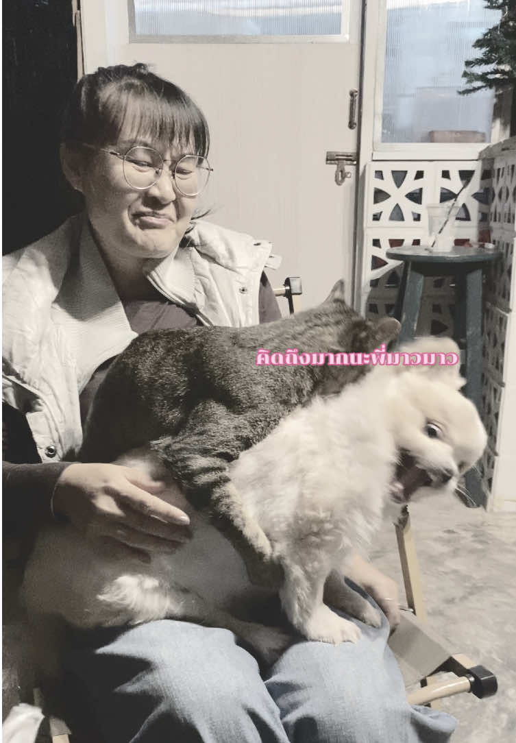 @กะปุก..งอกเงยดีคาเฟ่ เชียงราย