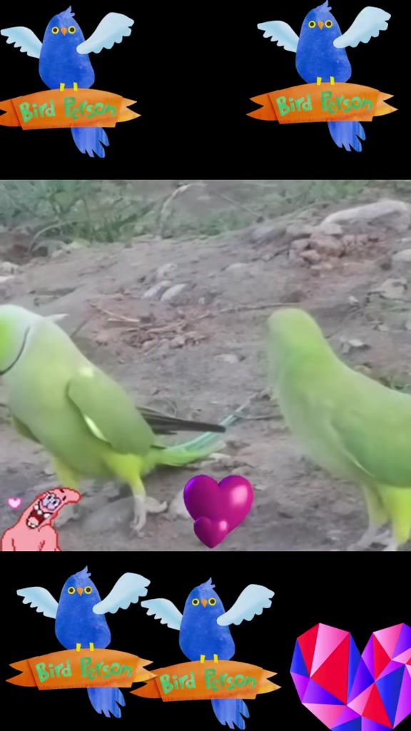 @♕︎★✰𝙂𝙐𝙅𝙅𝘼𝙍★✰♕︎