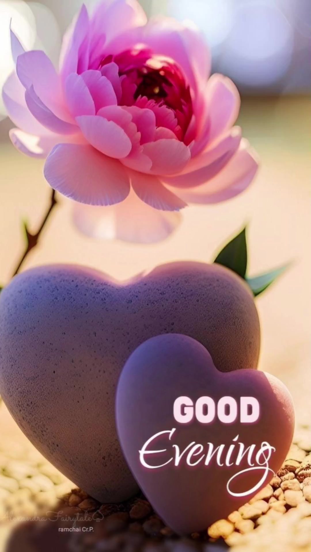 @𝐃𝐄𝐒𝐈𝐑𝐄𝐎𝐅𝐅𝐈𝐂𝐈𝐀𝐋🦋