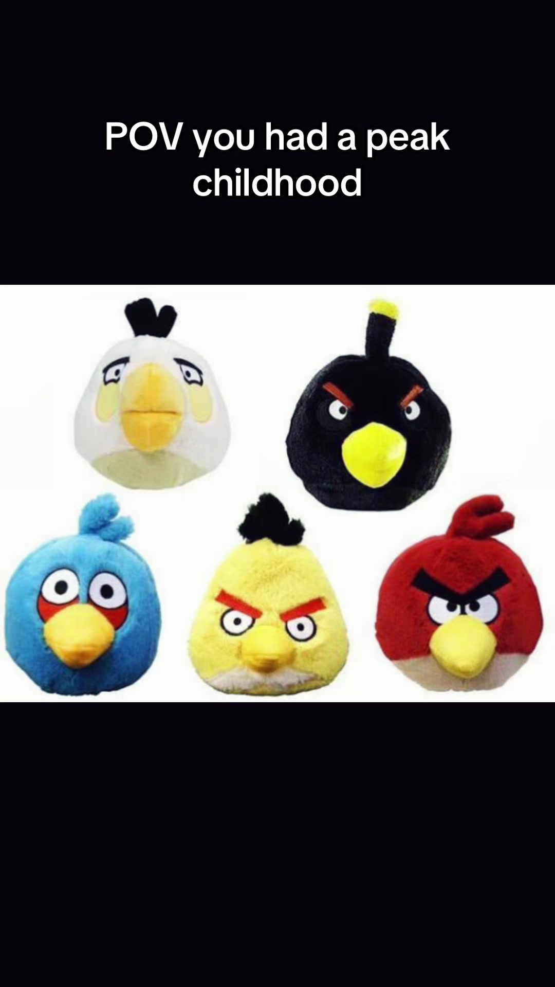 @AngryBirdsMemes
