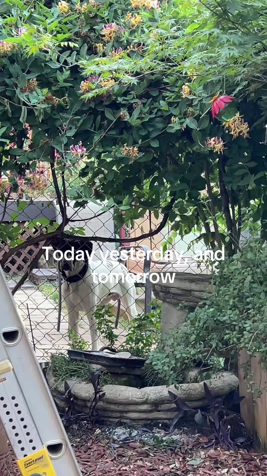@debbiesprugasci