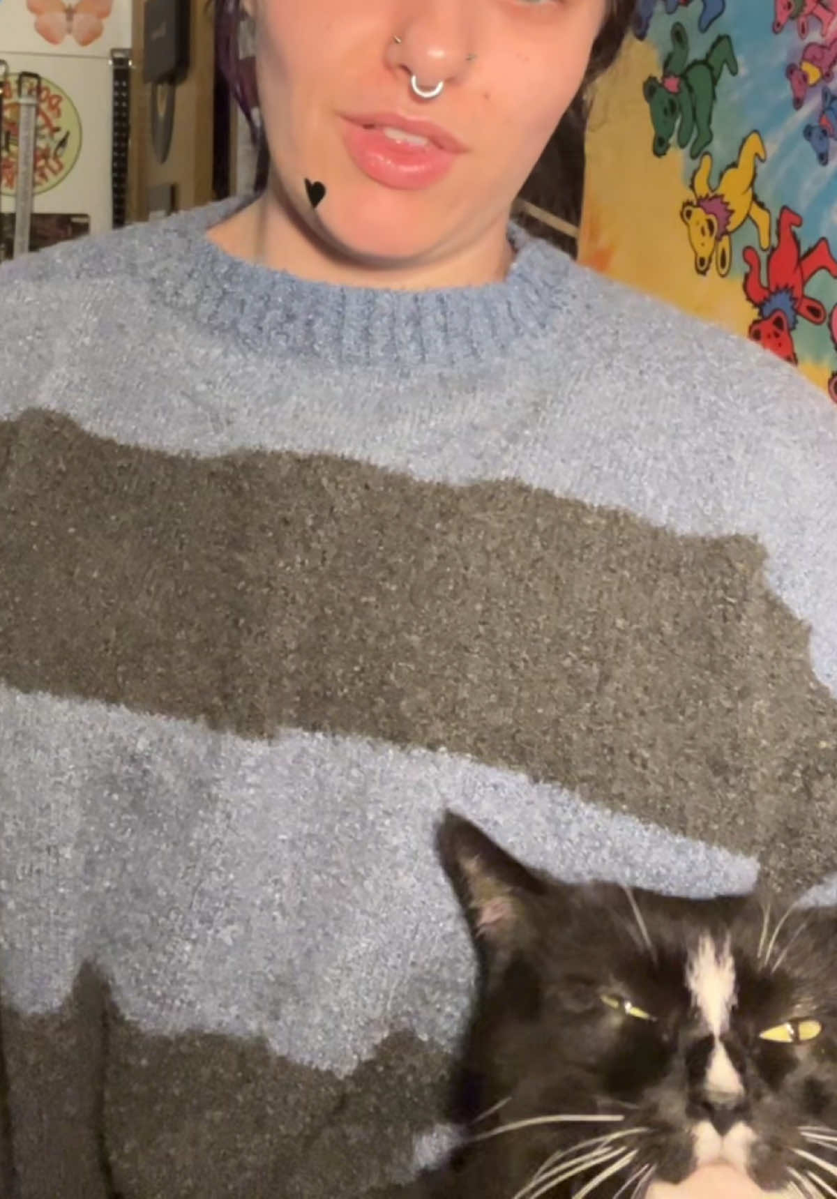 @/&bull;᷅&bull;᷄\Ⳋ
