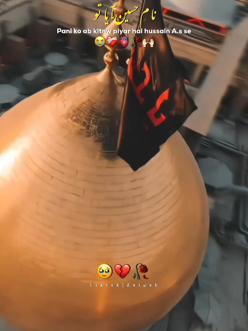 @𝐙𝐀𝐈ن𝐀𝐛ރ