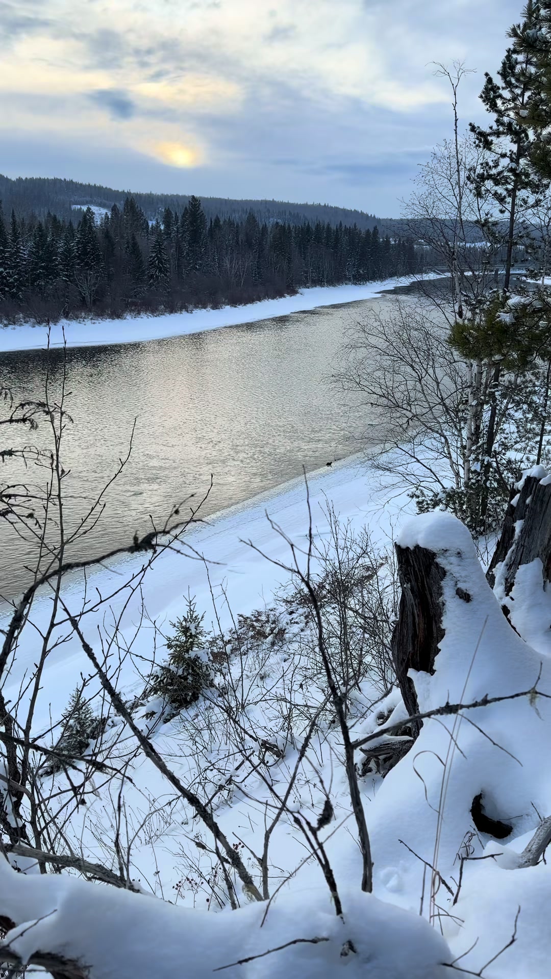 @Hippieheart_Sherry 🇨🇦
