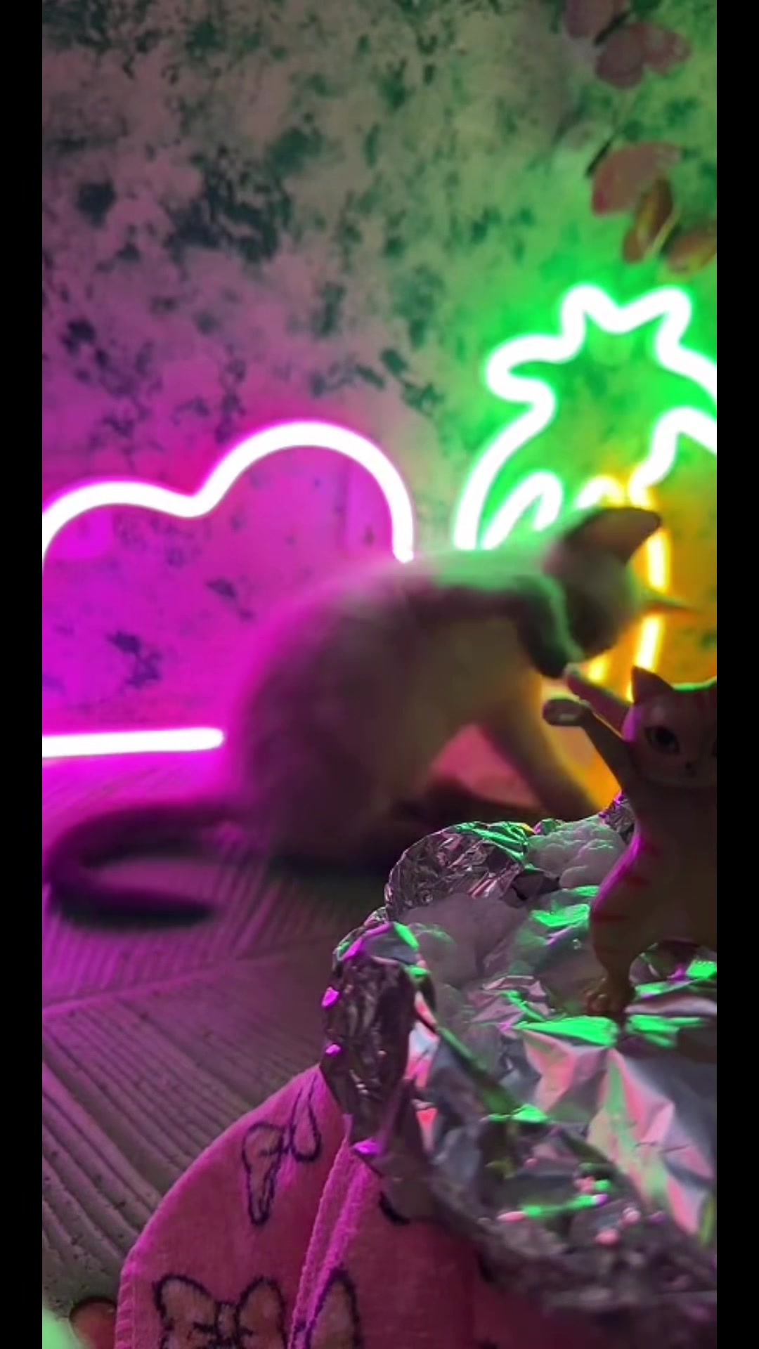 @Mirella ASMR