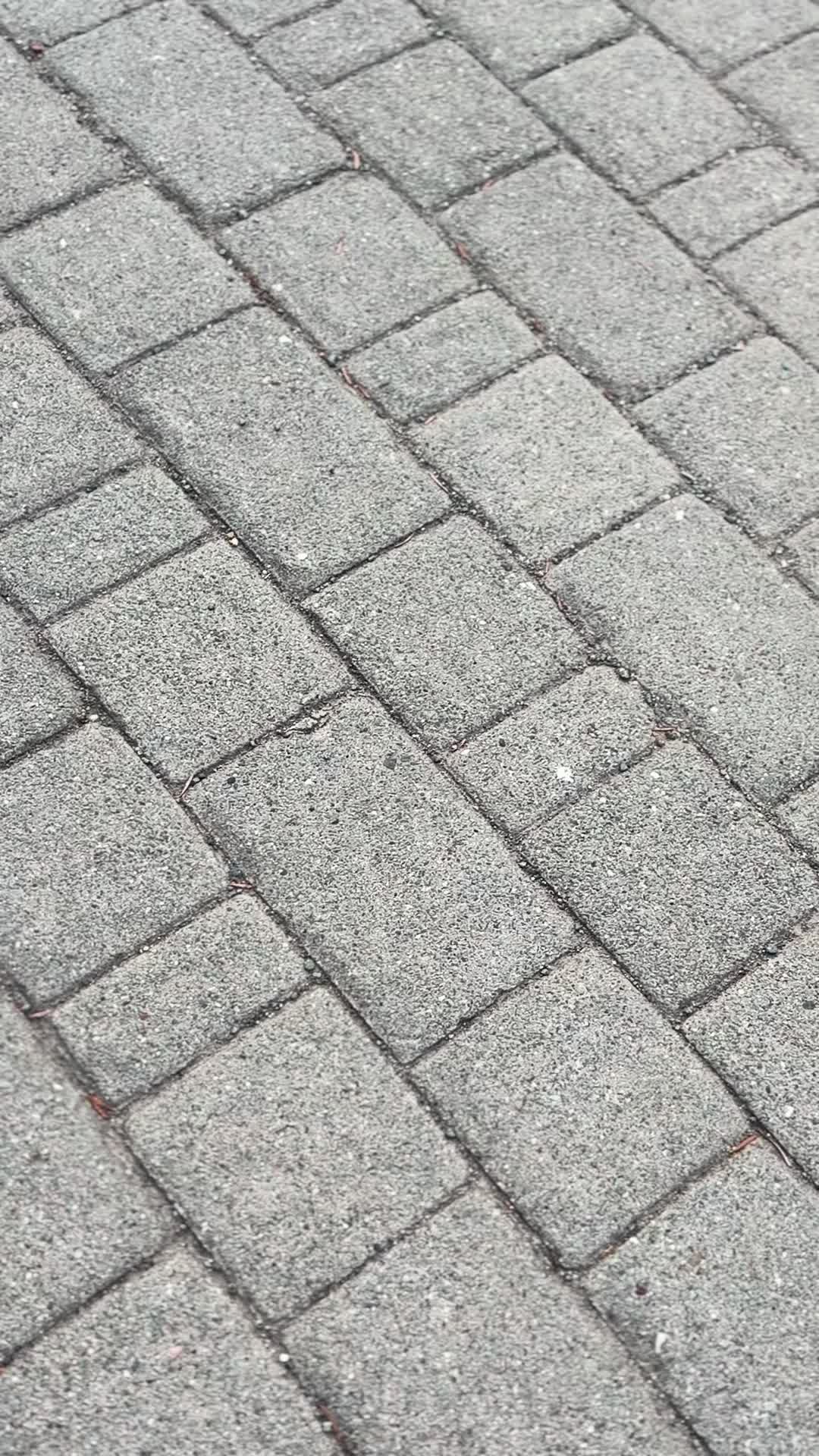 @Dorsxk❄️<3
