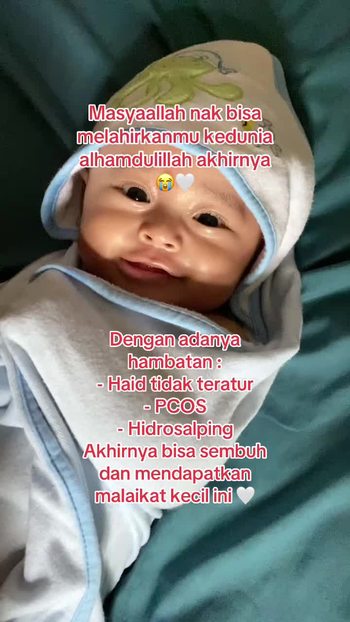 @promilholistik