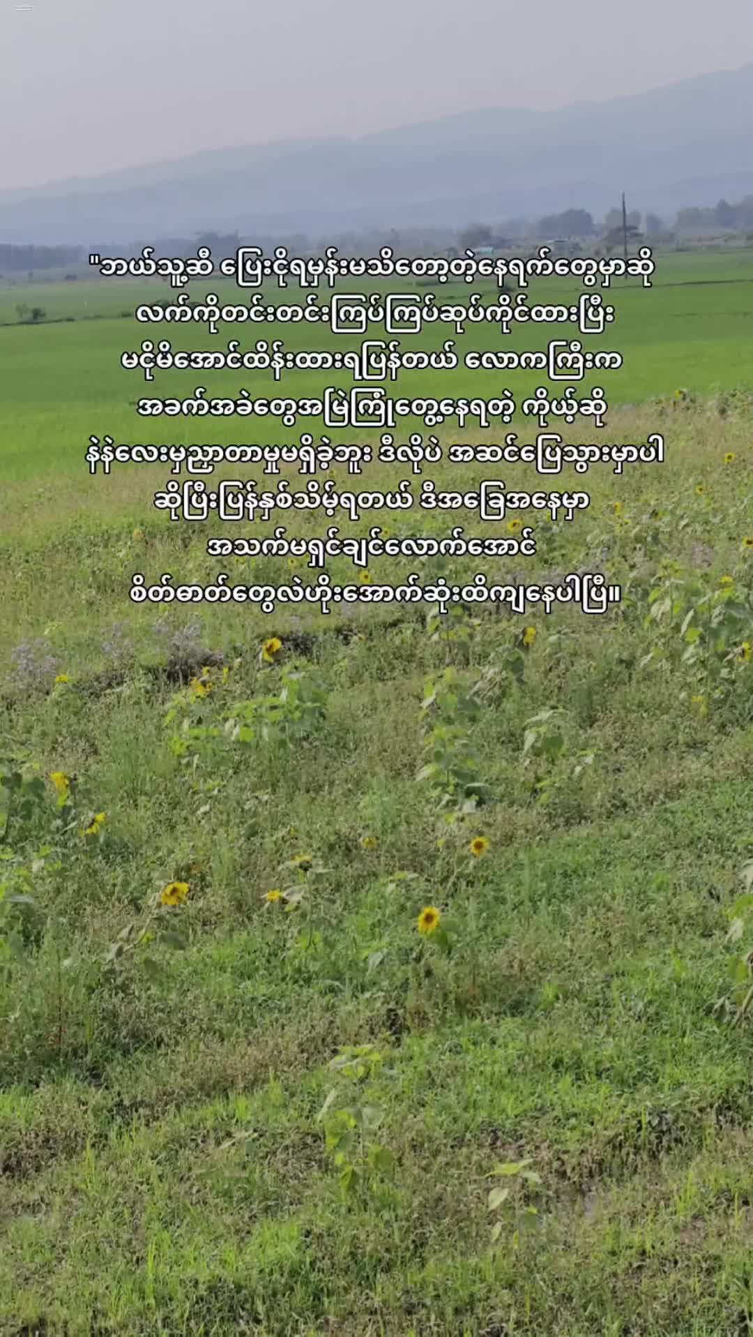 @ညိုကြီး 🍂 (Official ) 1.3M