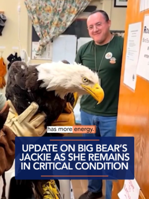 @KTLA 5 News