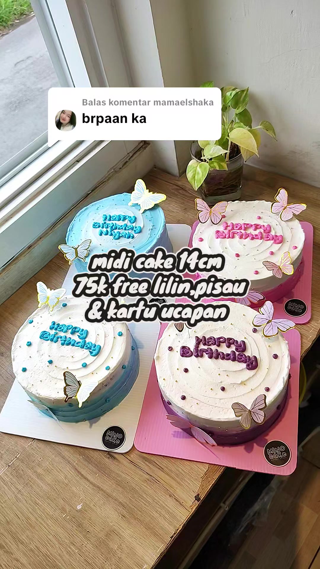 @mino_cake11