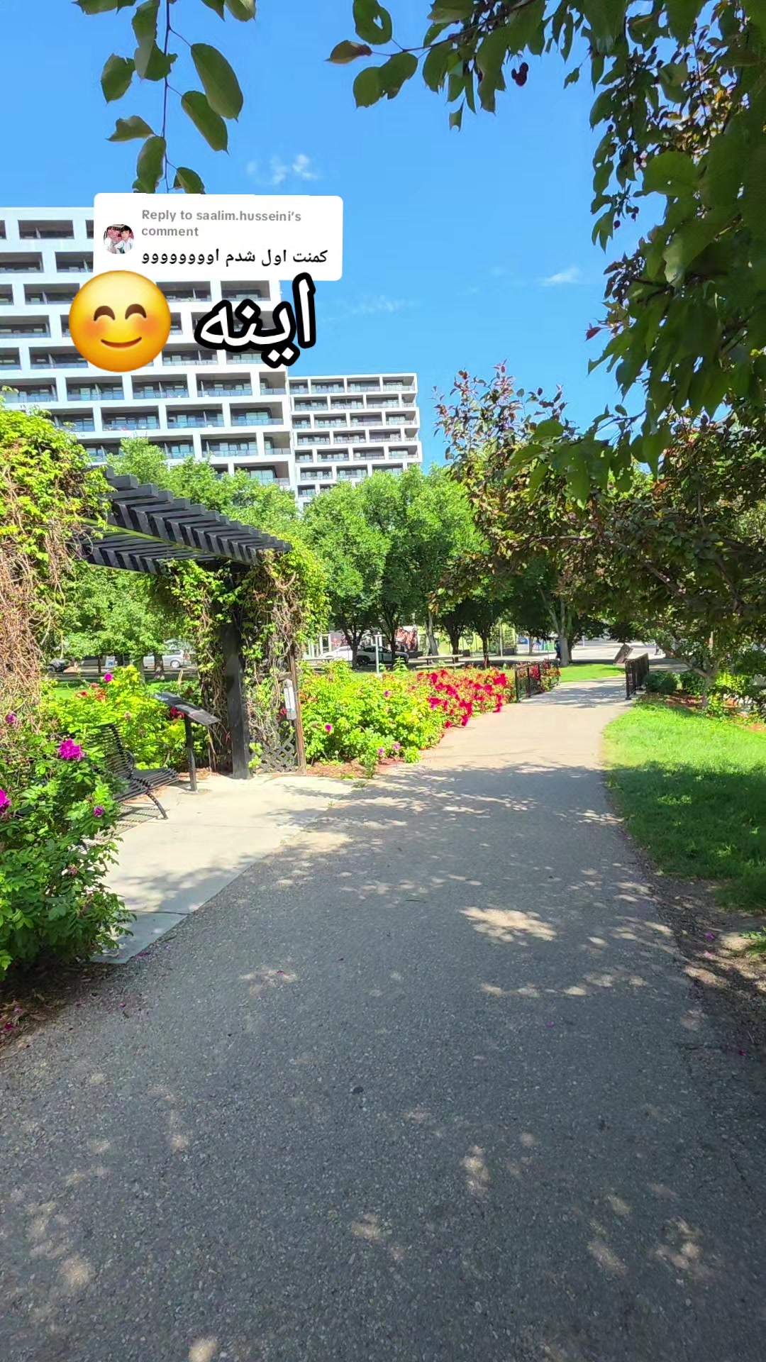 @Tamanjoo🇨🇦🇮🇩🇦🇫