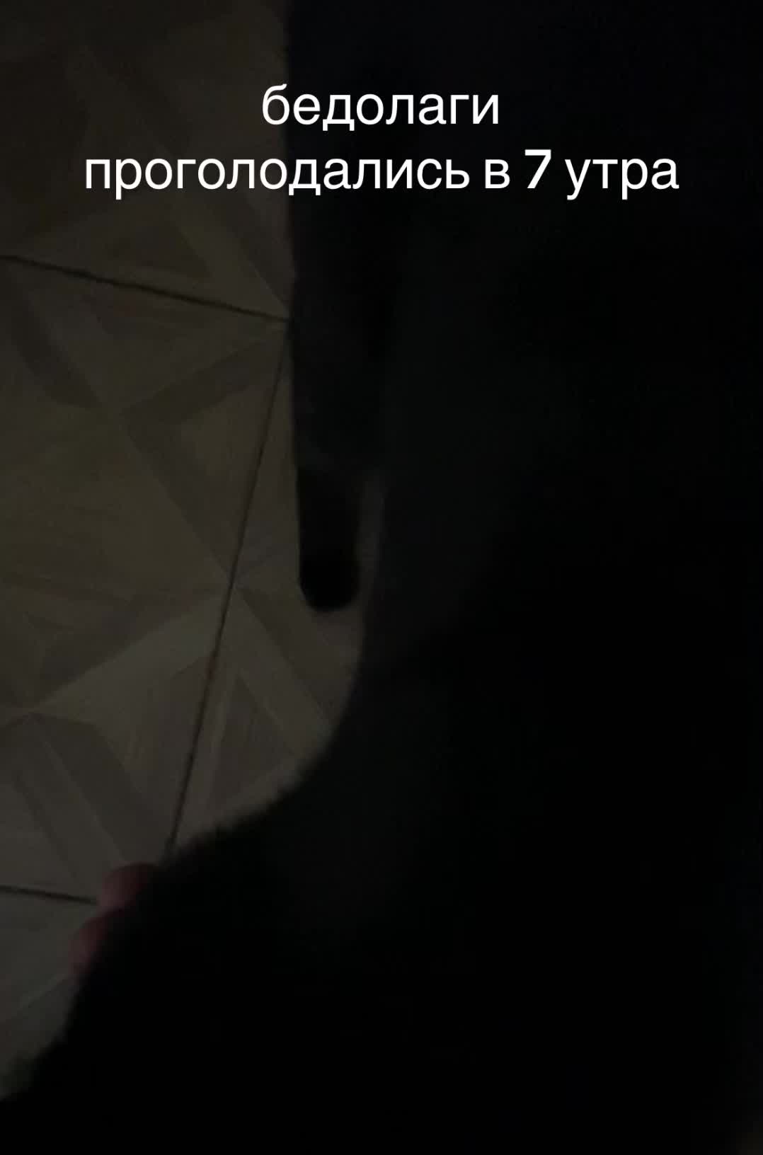 @сельский лансер