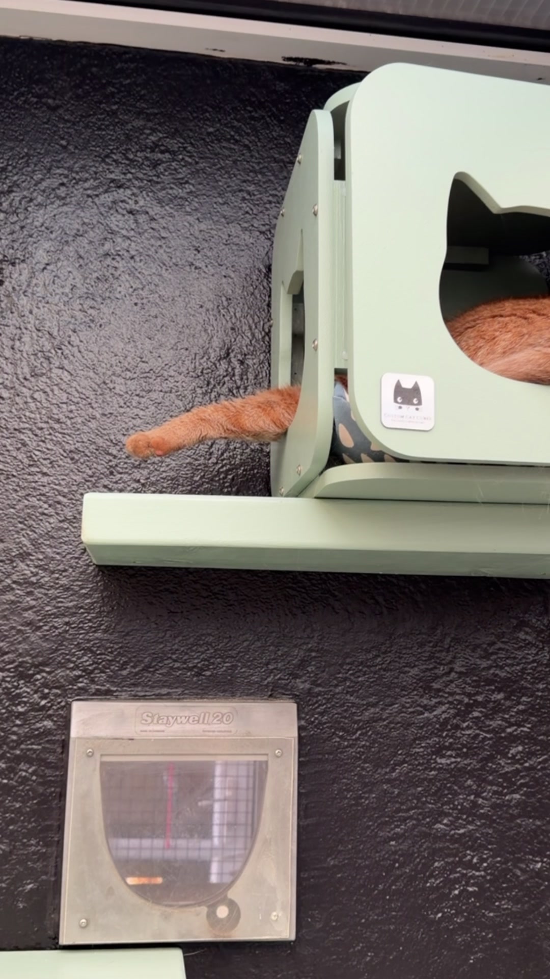 @Herongate Village Cattery