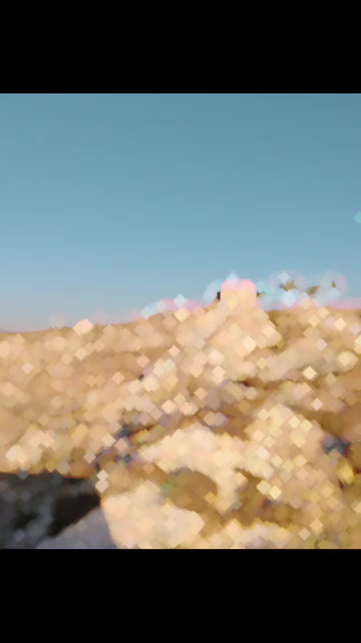 @محمد خالد الشيخ