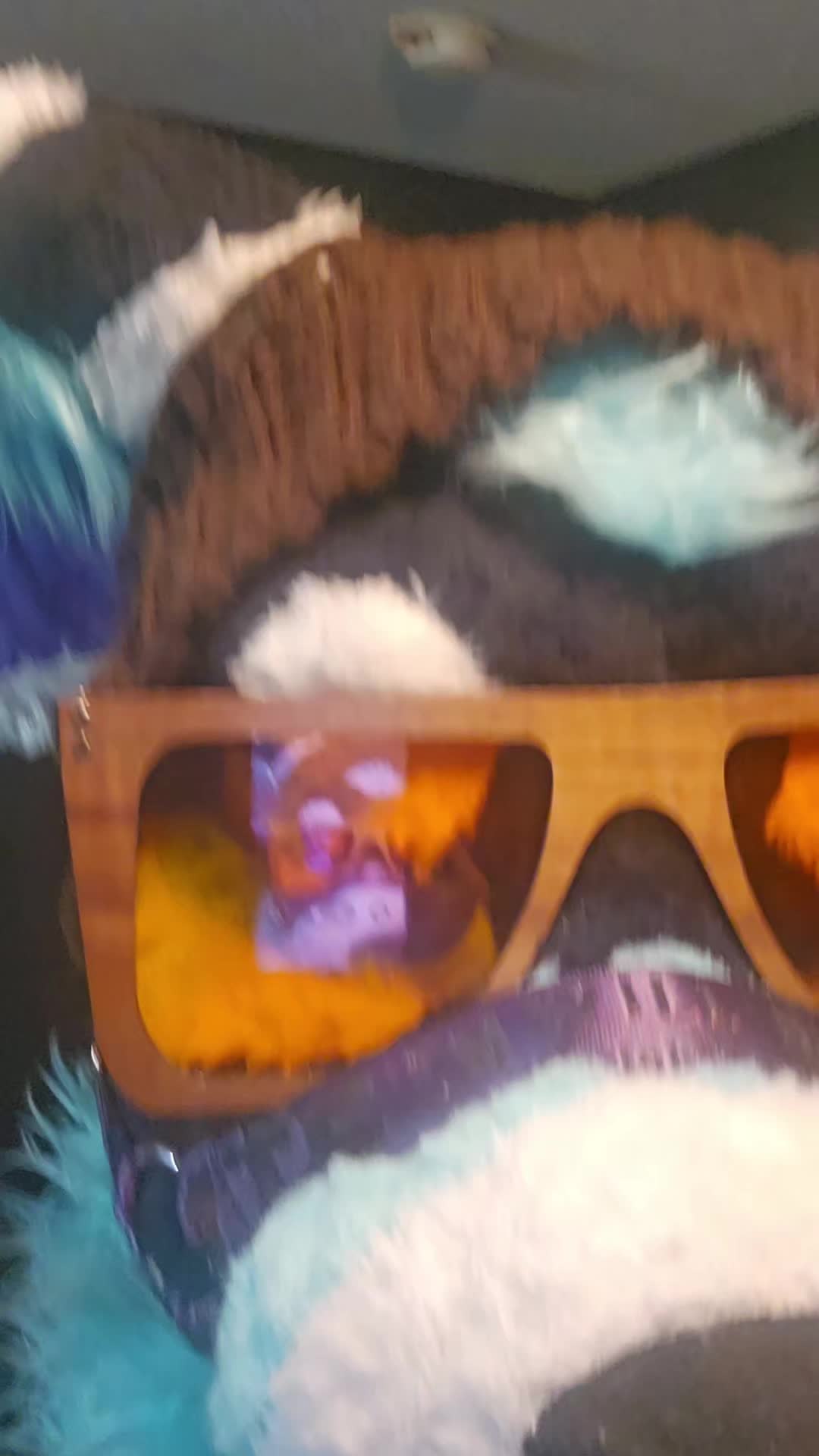 @SalemTheFox