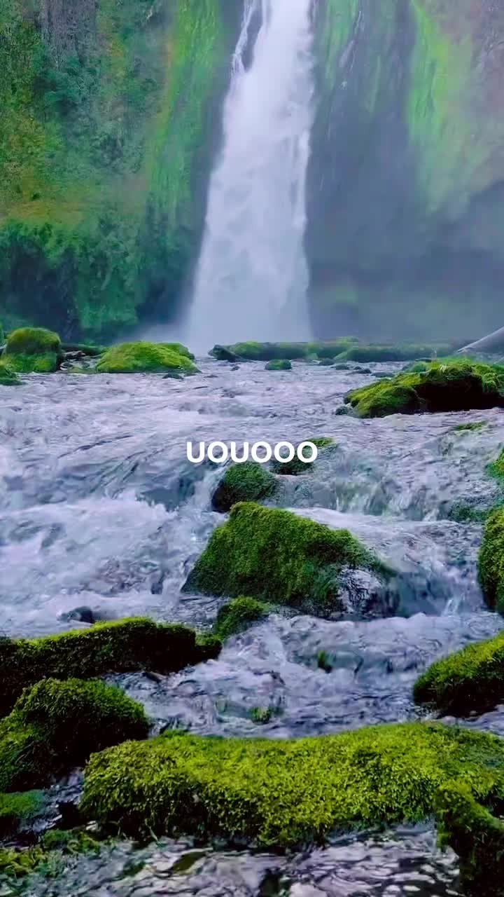 @Mark Salgado