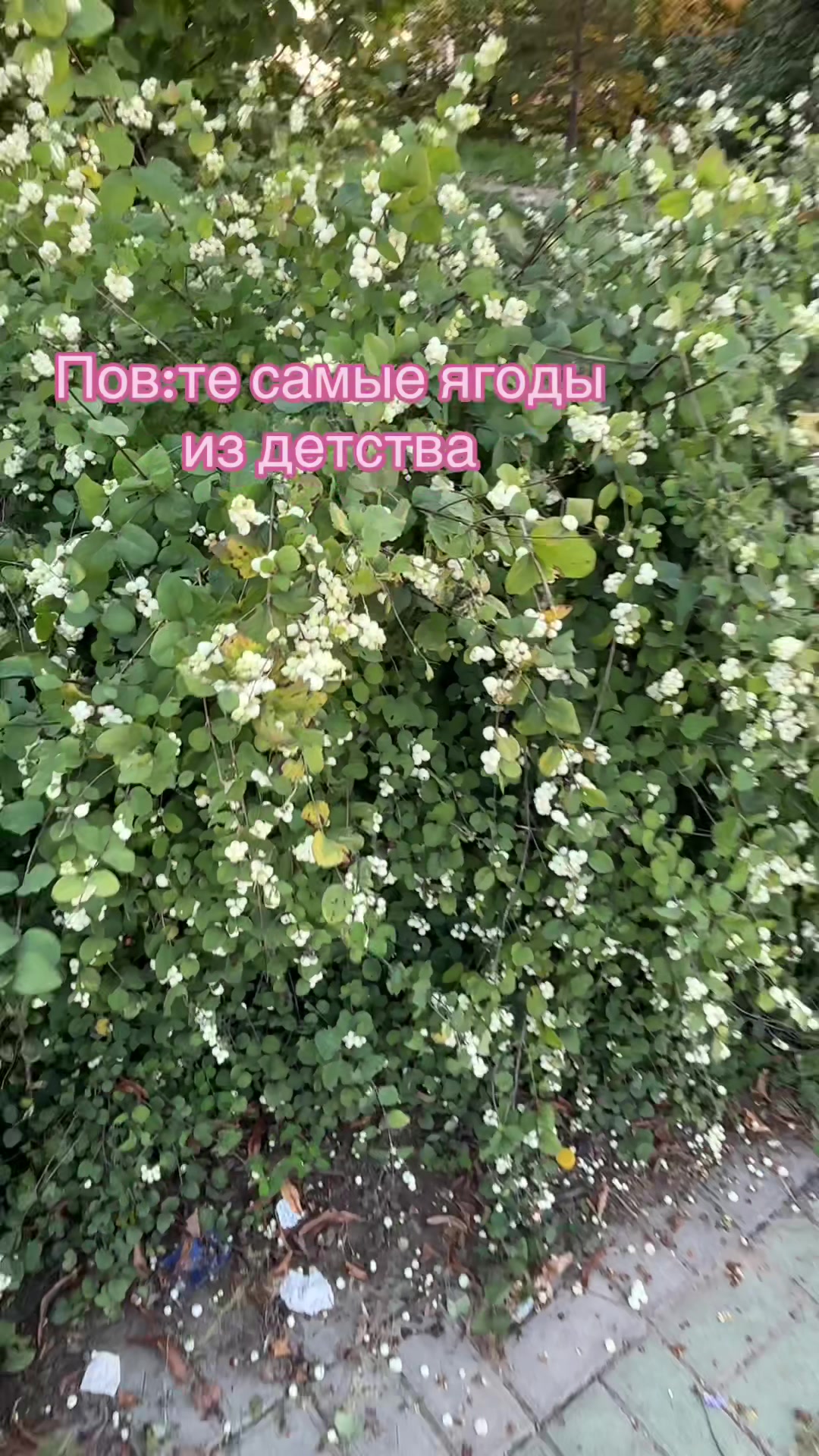 @Поля🤸🏼♂️✨🦢