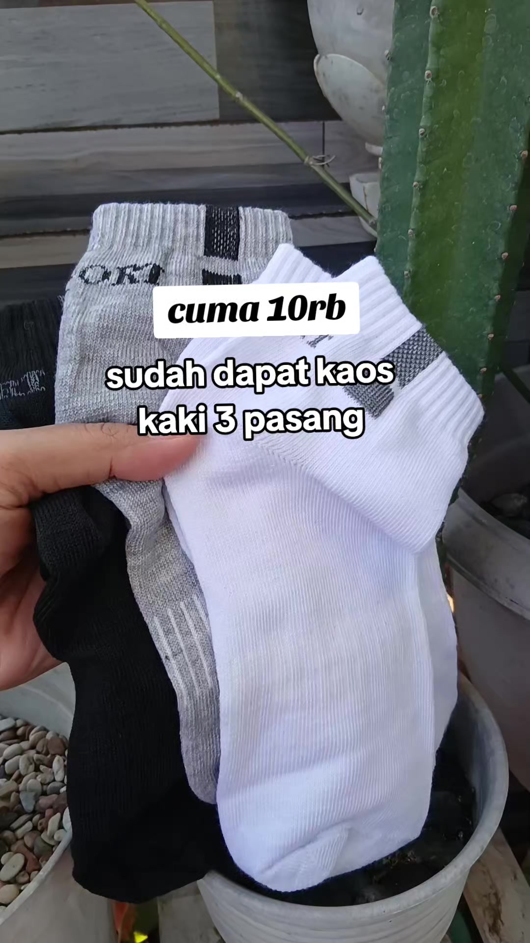 @Ceria_a