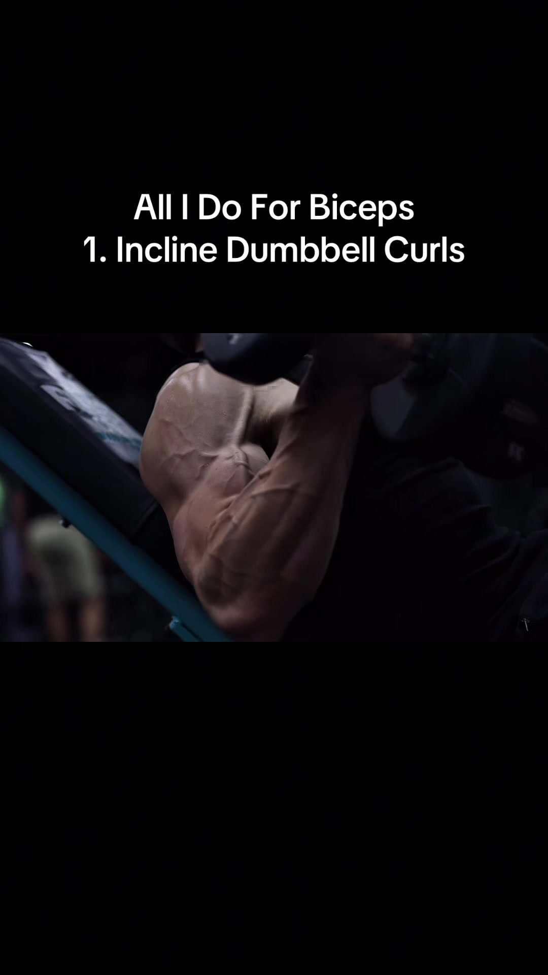 @mr.backzilla1