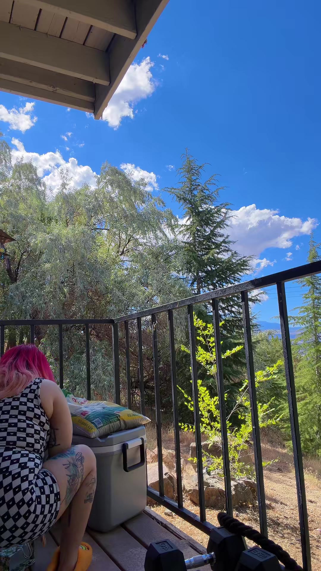 @TheGoddessPuertoRicanbutterfly