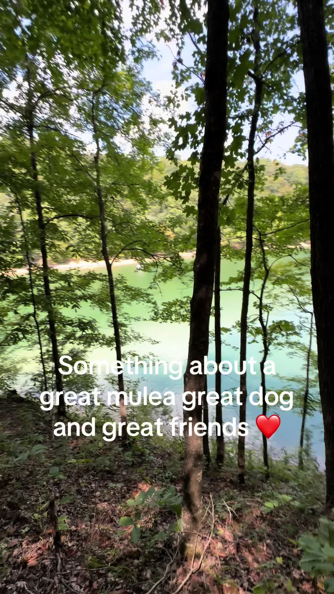 @kentuckyKuntry ❌