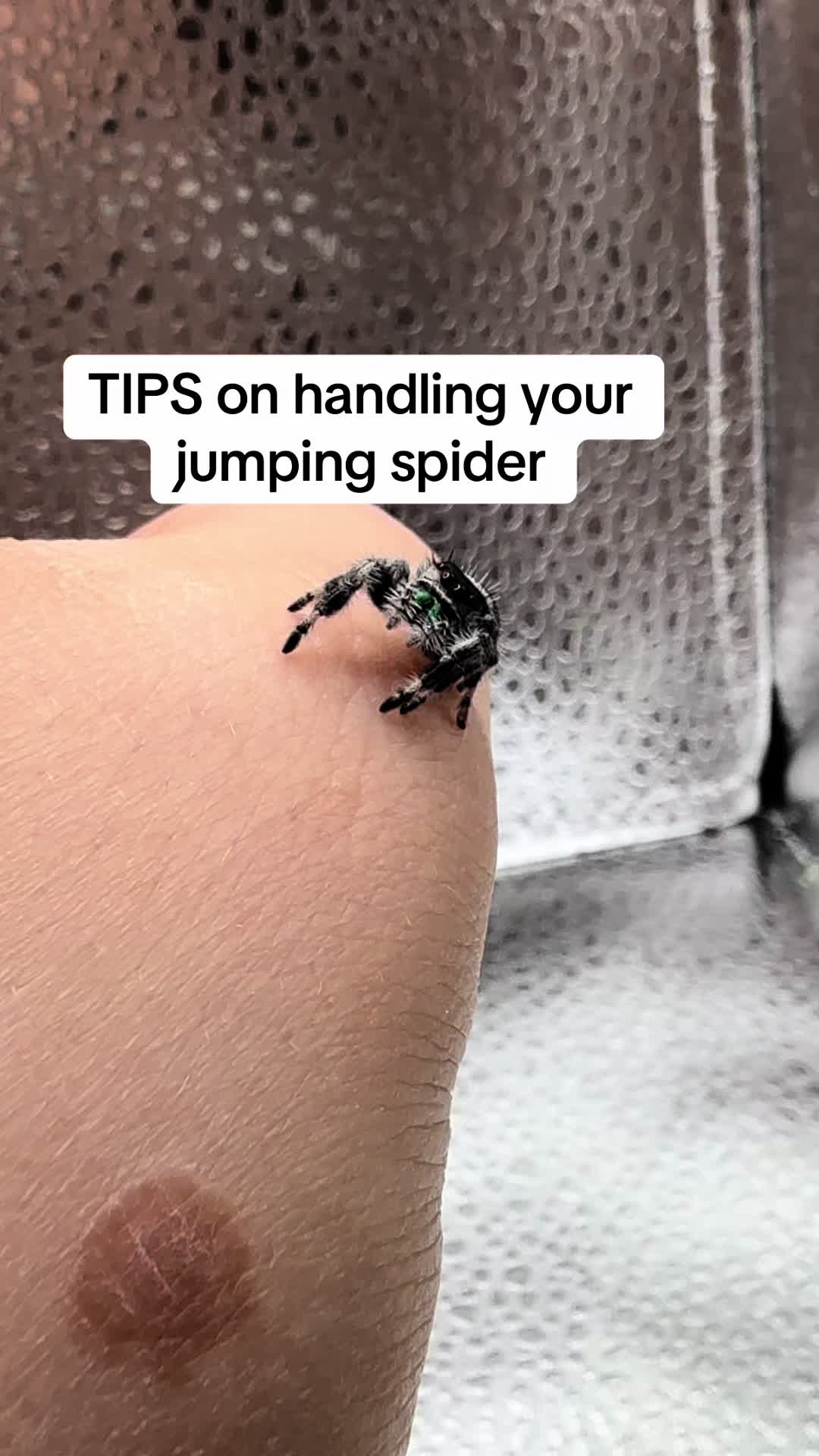@Parker&rsquo;s Web