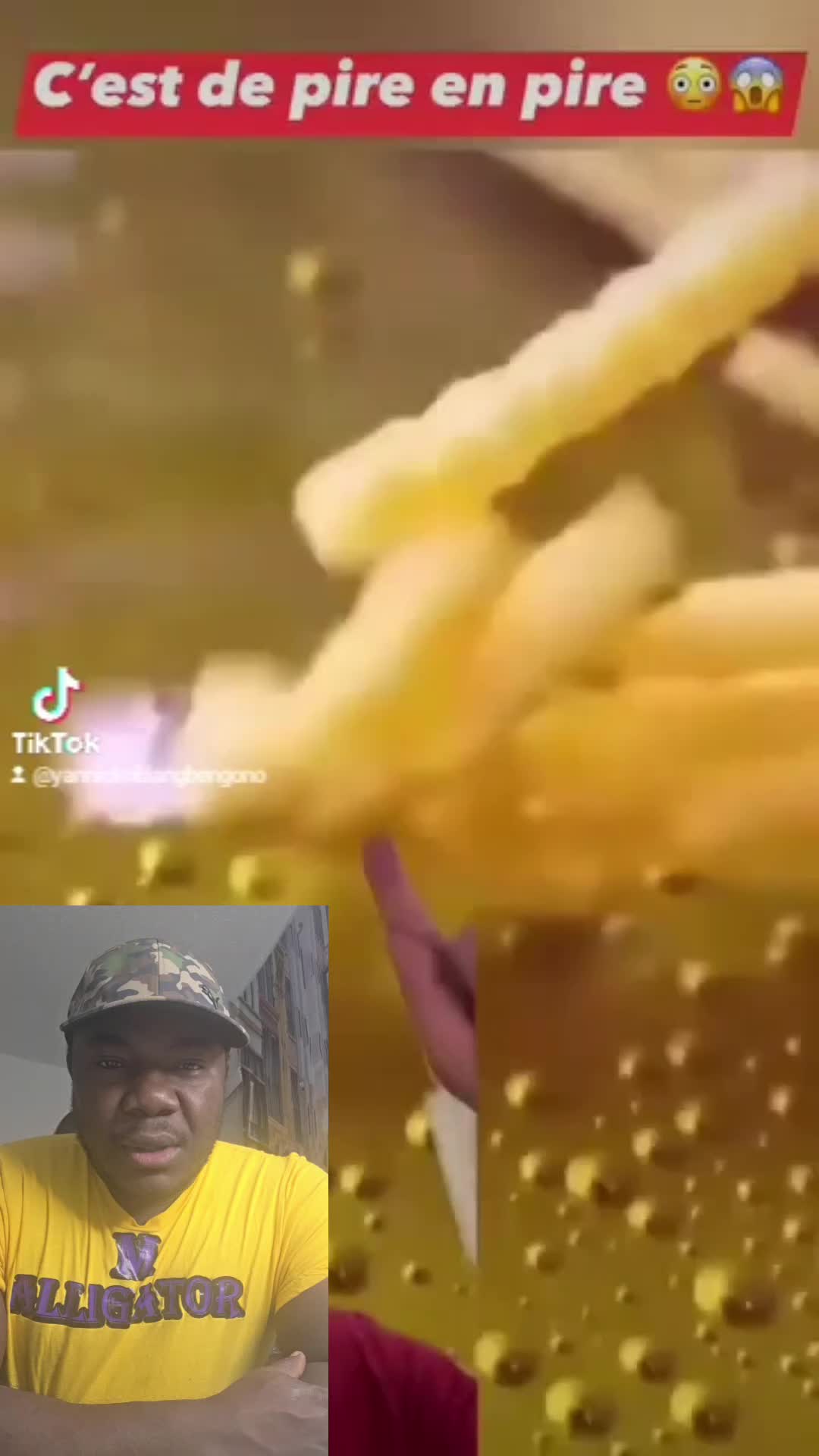 @Mentalit&eacute; Aligator