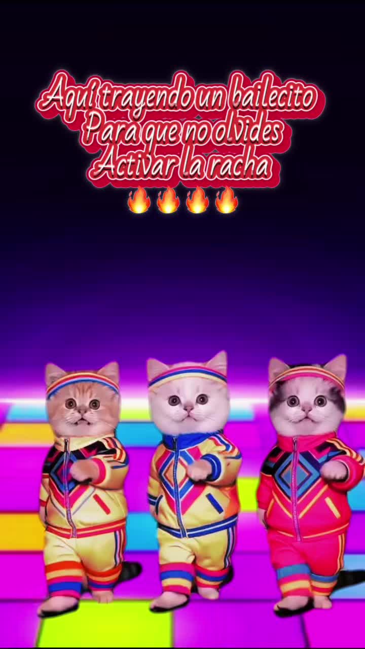 @Hernández_02