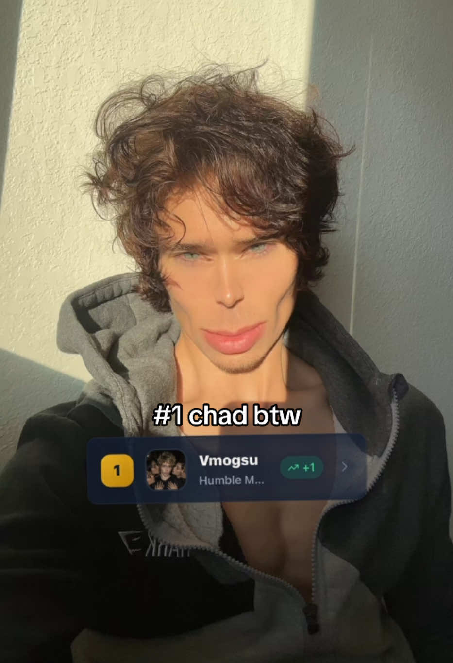 @vmogsu