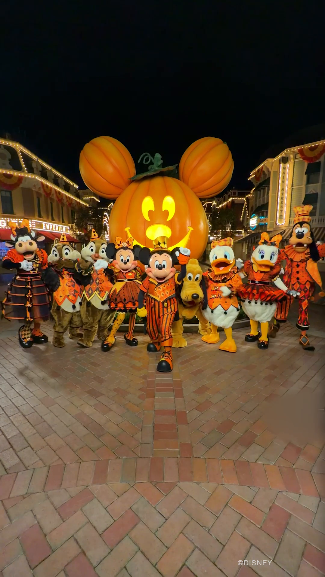 @Disney Parks