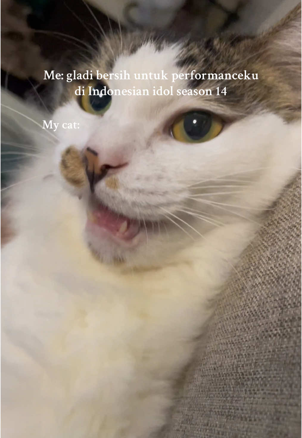 @three_muscateers
