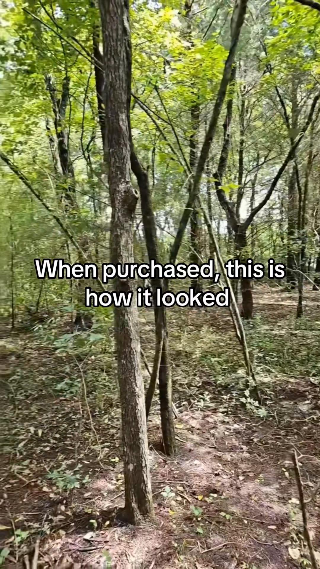 @kori
