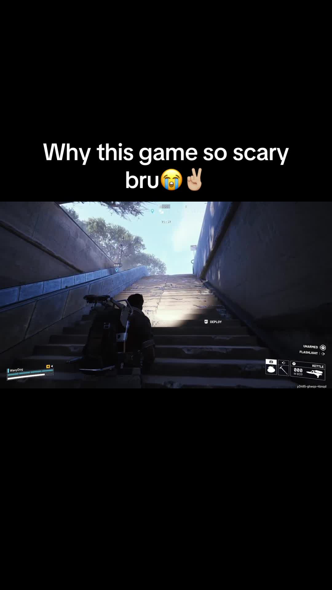 @WavyDogTTV
