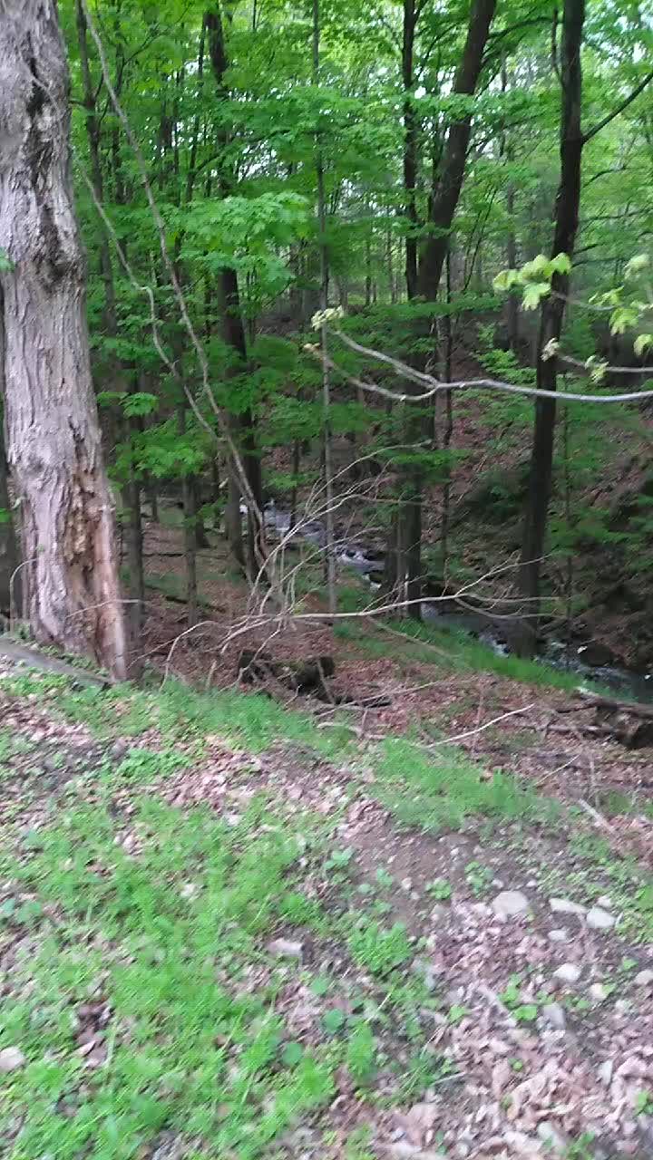 @thegoodnoise11