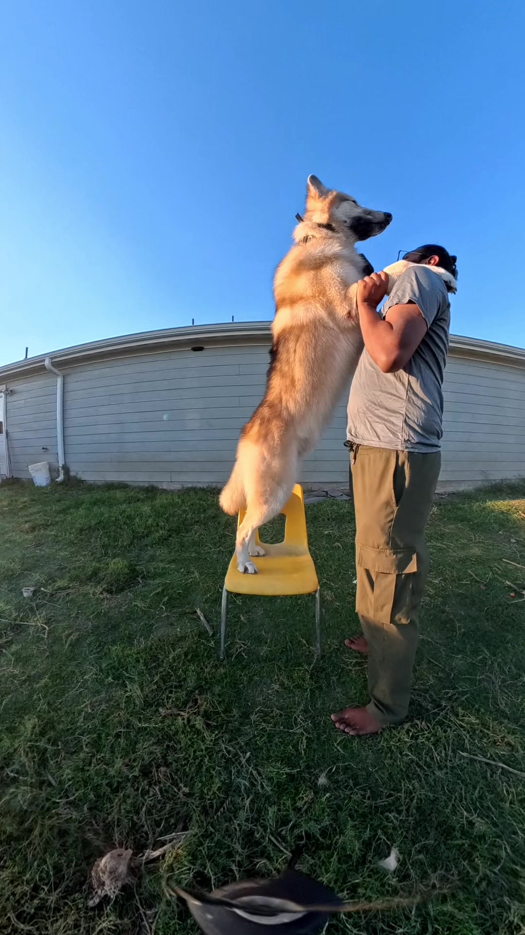 @Neko, Tokahli and Bear