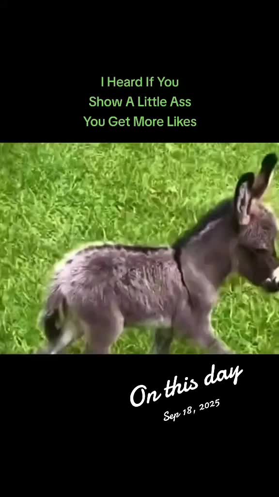 @Nekoda Phillips