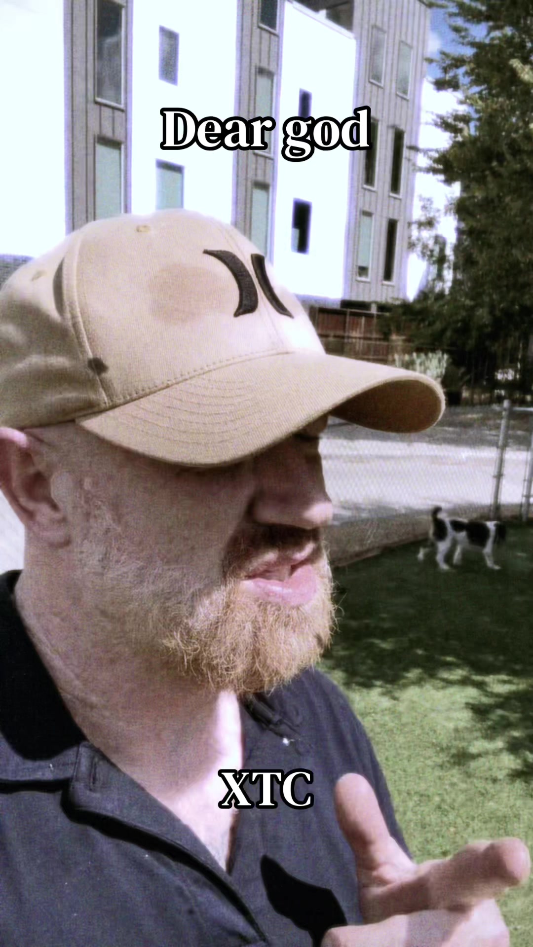 @gingerale303