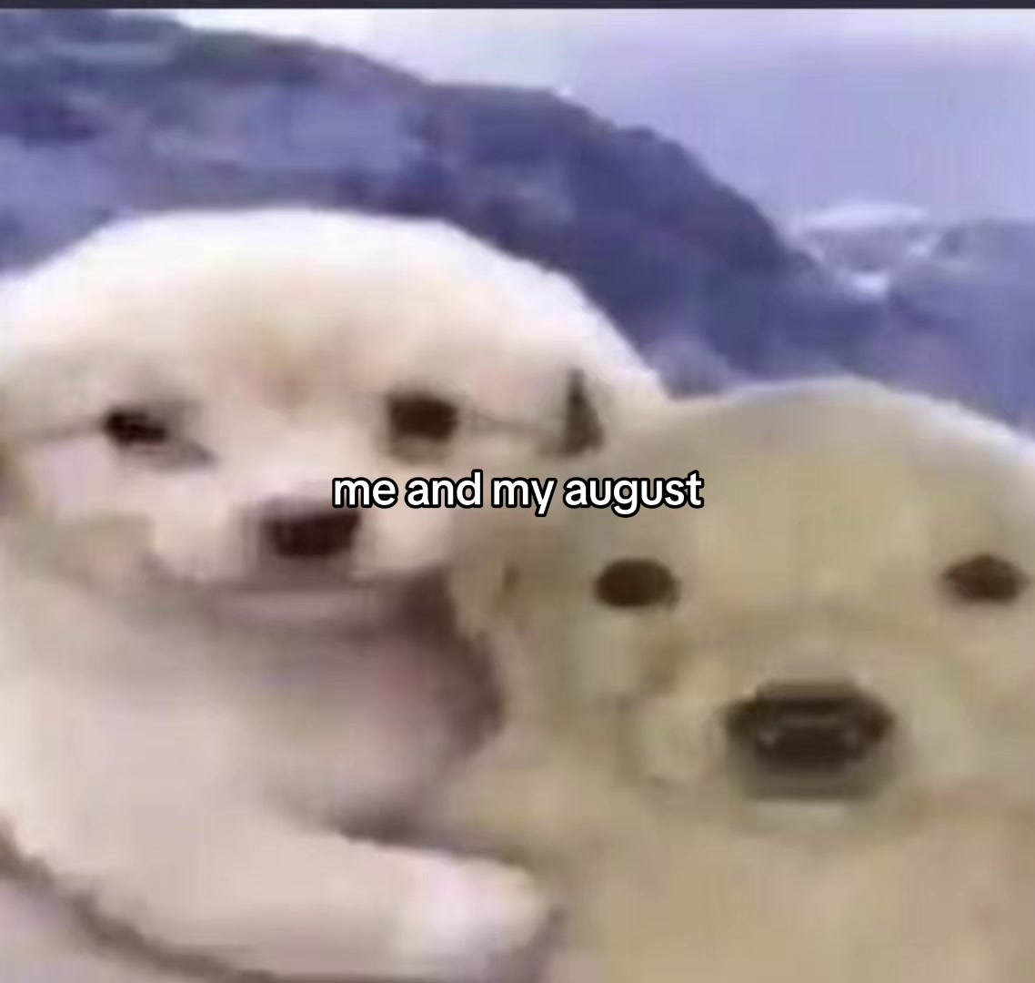 @wzxdhdv