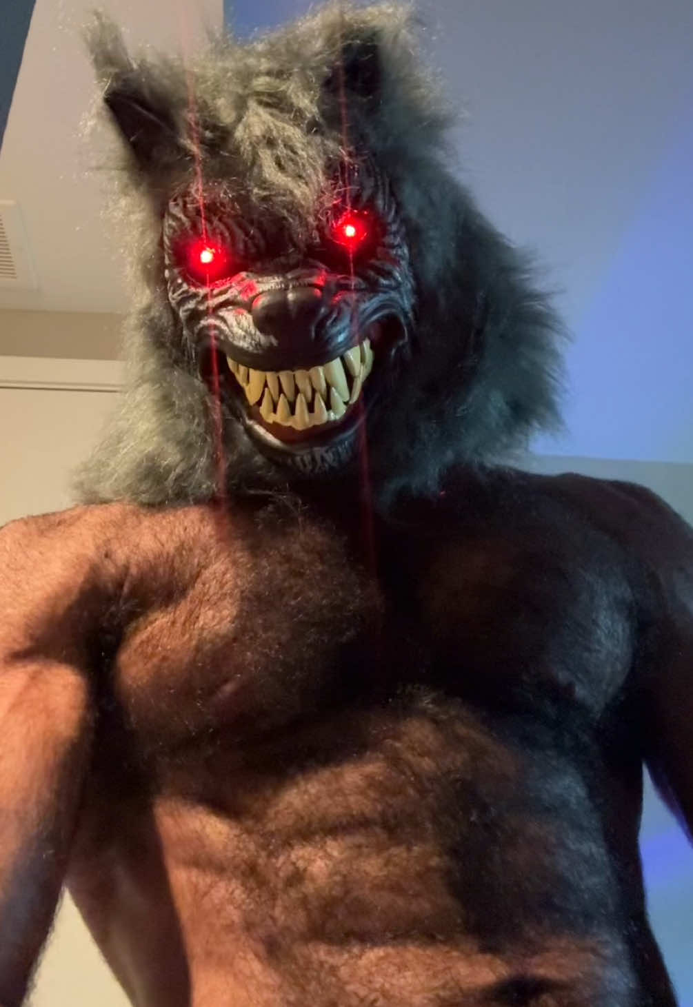 @Persian Wolf 🐺