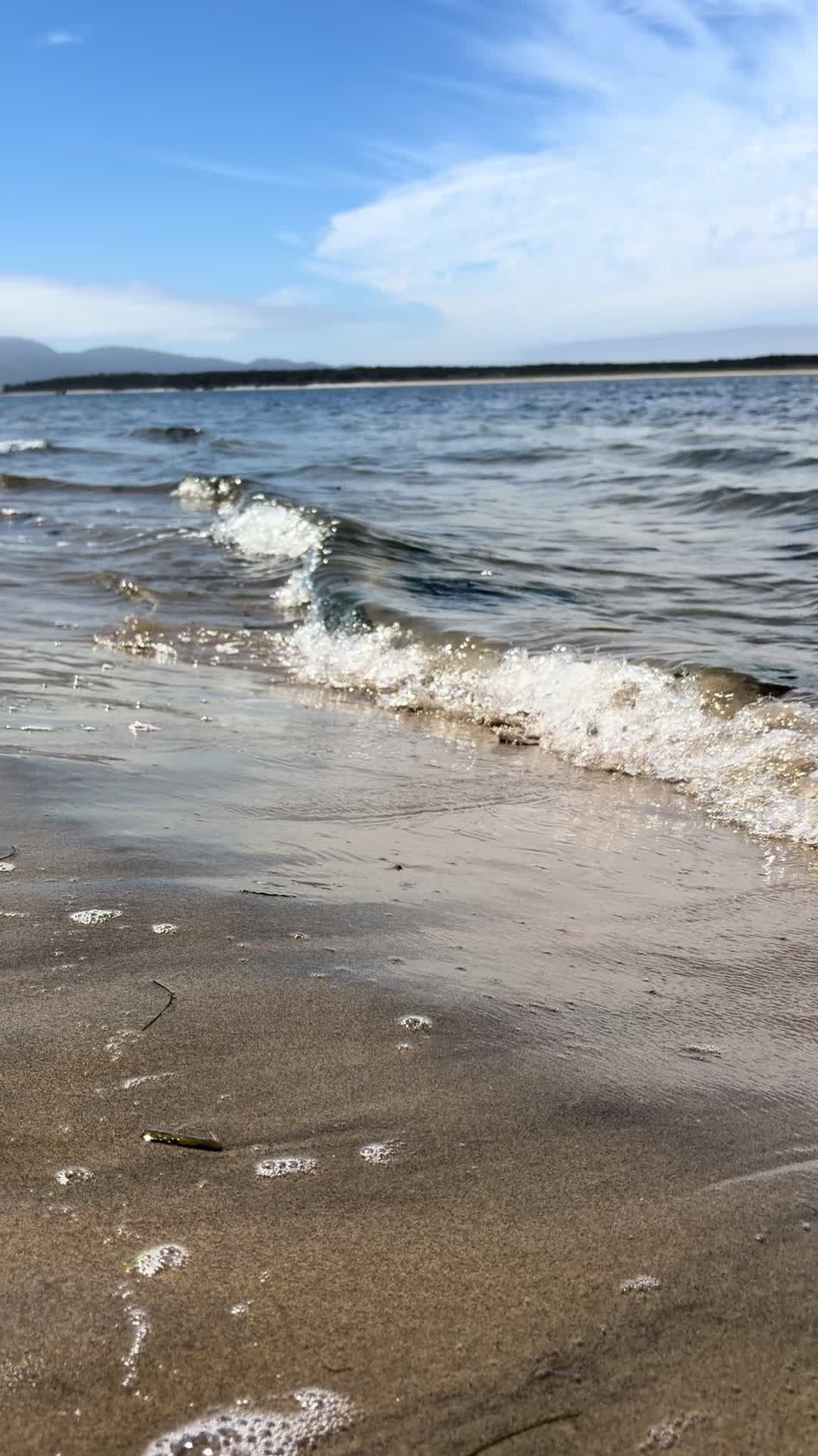 @oregonskyveek