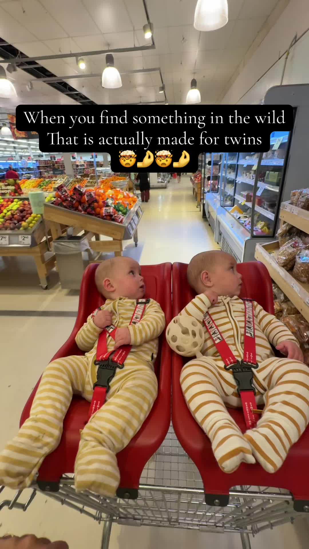 @twinsurvivalguide