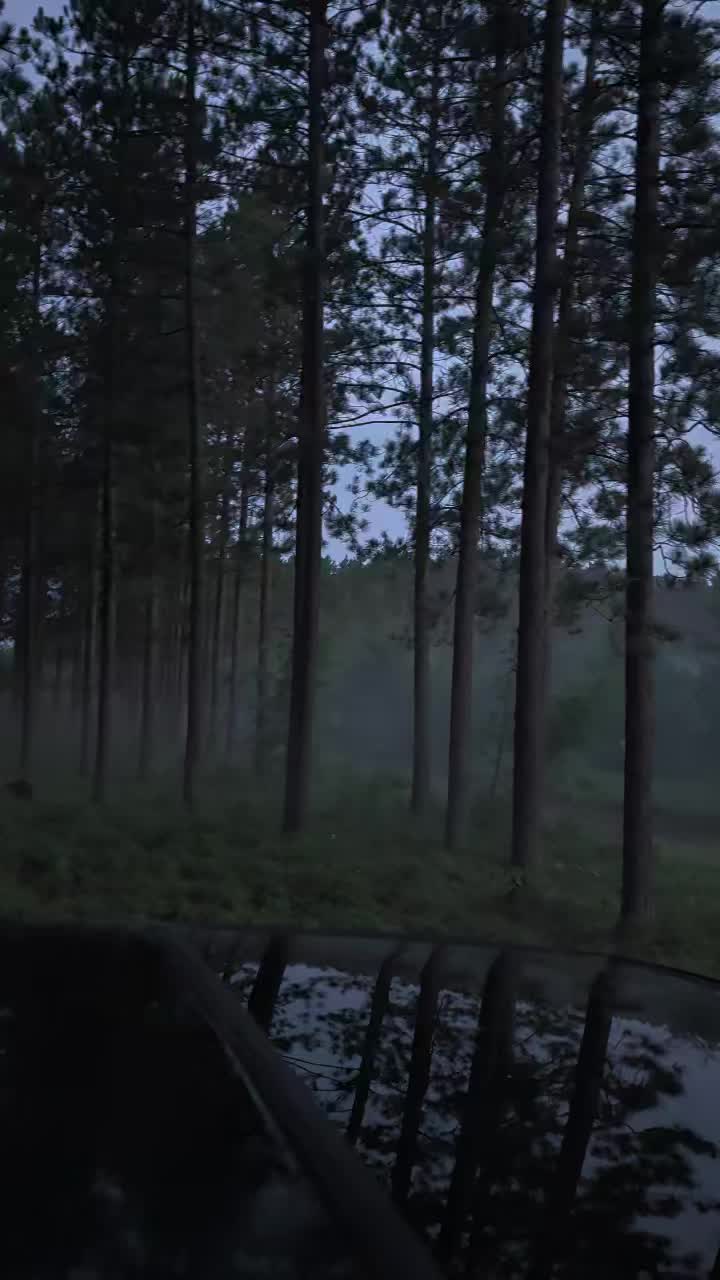 @M.