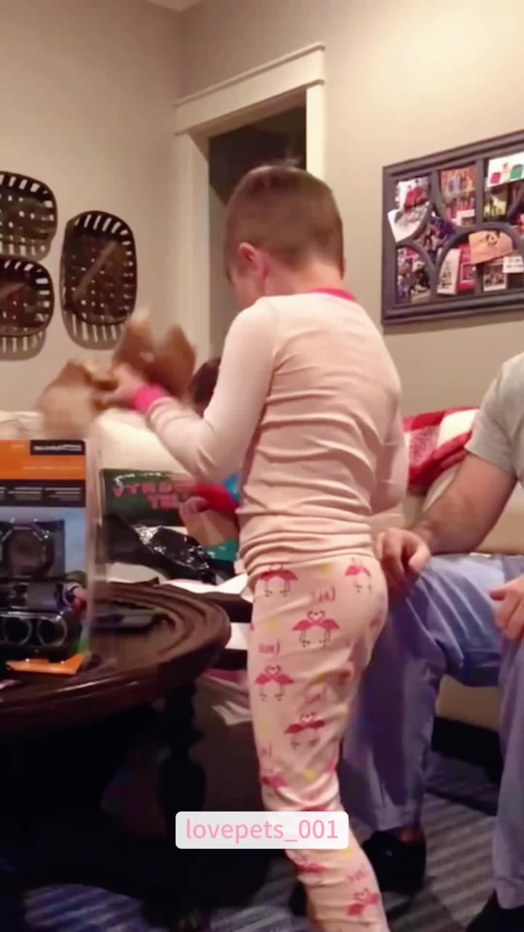 @lovepets_001