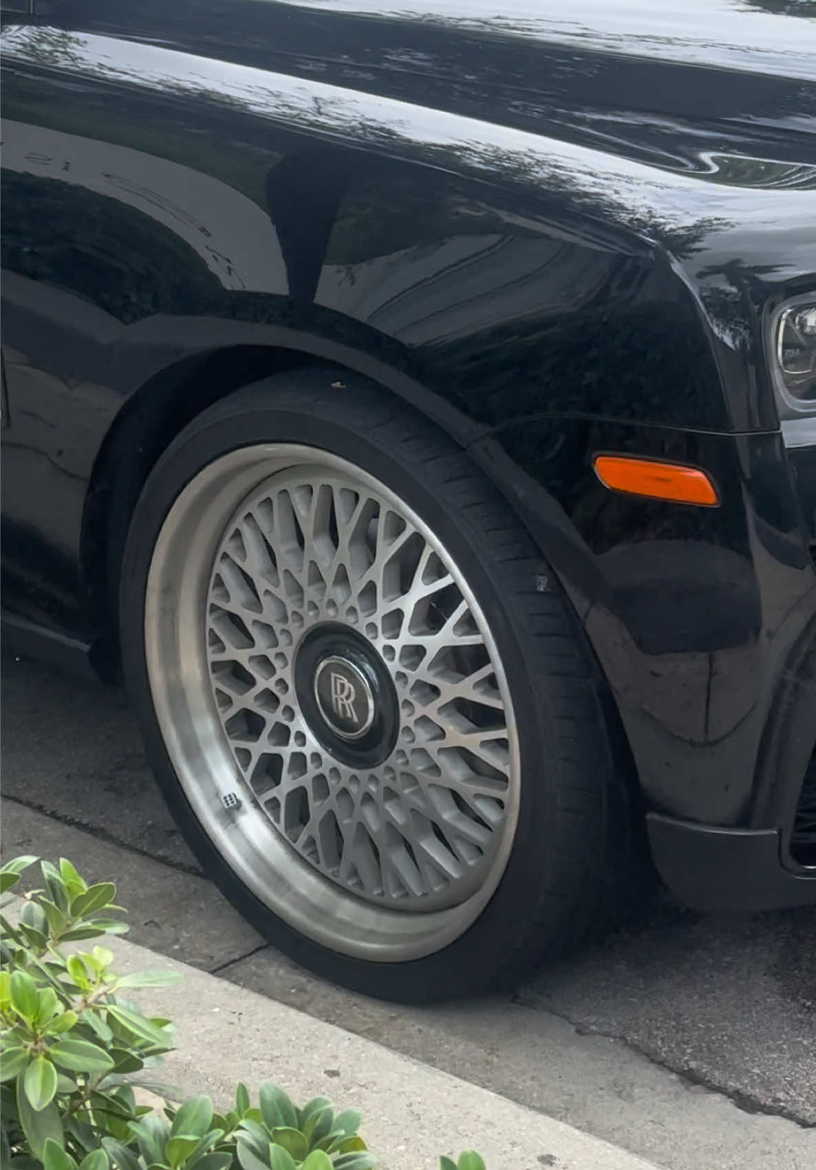 @Biscayne Supercars