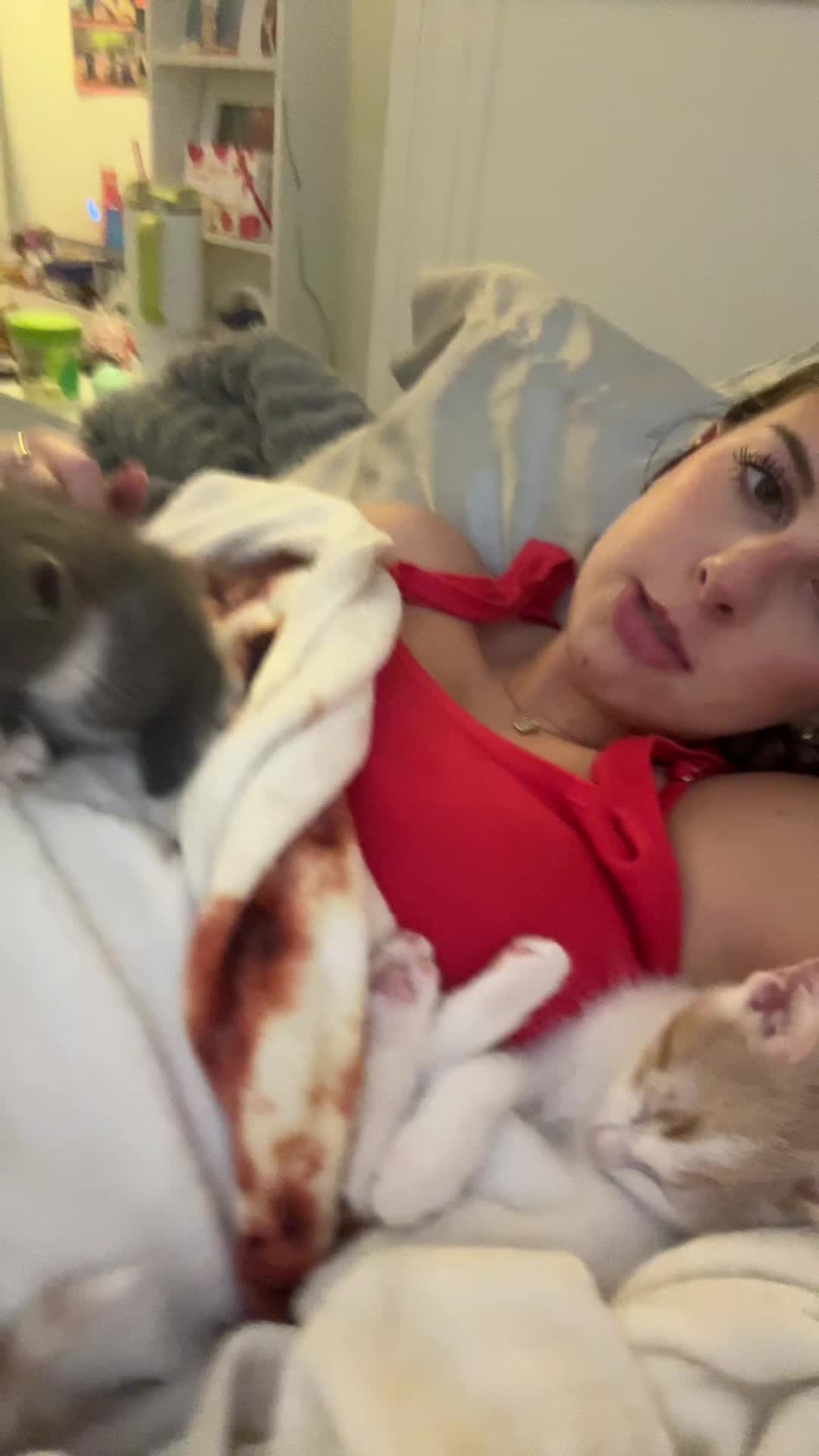 @activekitten7