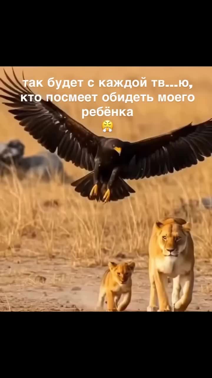 @Калыбекова Гулнара