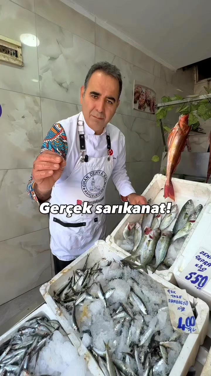 @cihanderyabalikbah&ccedil;elievler