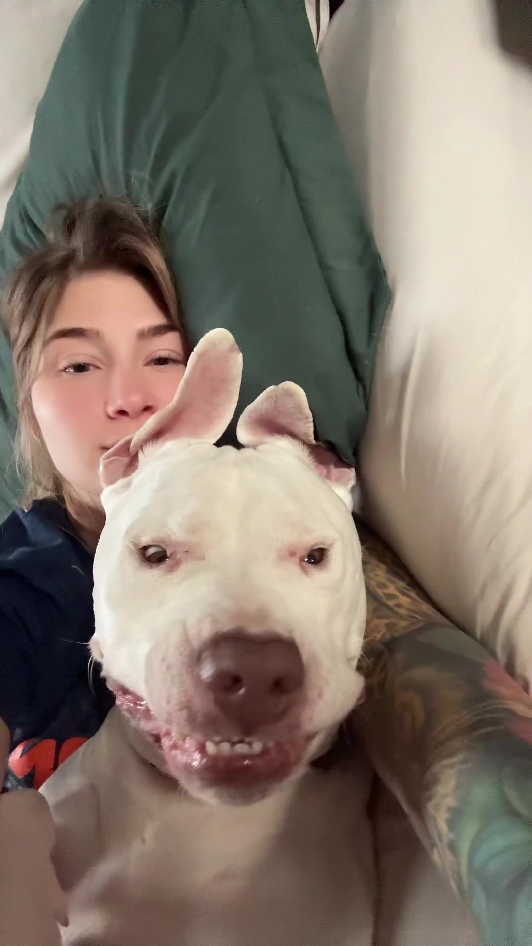 @DIOJI.the.DOG