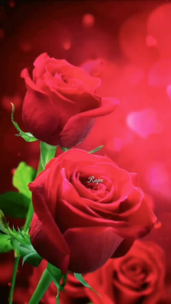 @💖 janaki 🌹